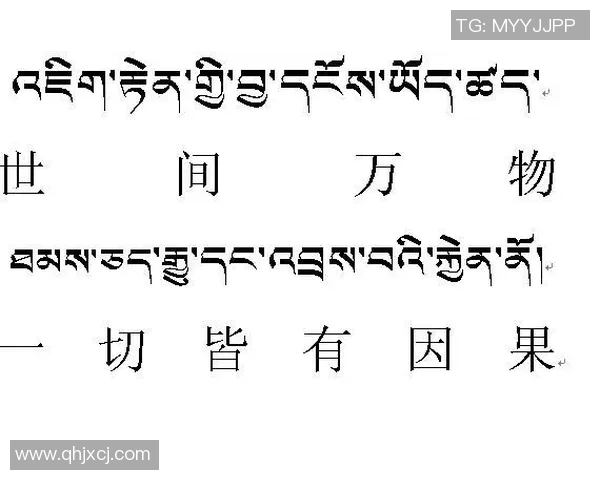 足球明星藏文名字翻译揭秘让你了解他们的文化背景与个性魅力